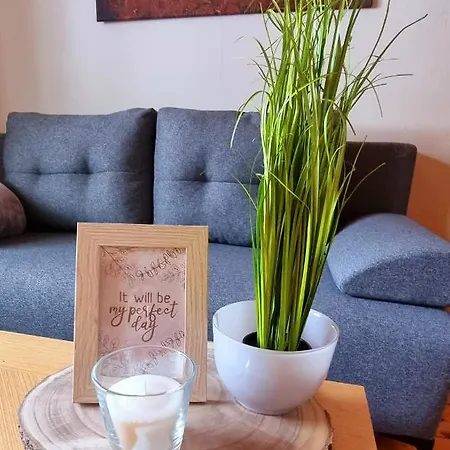 Apartment Apartma Metka