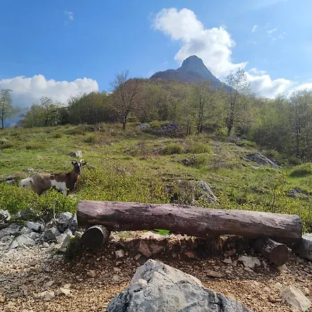 Apartma Apartma Metka *